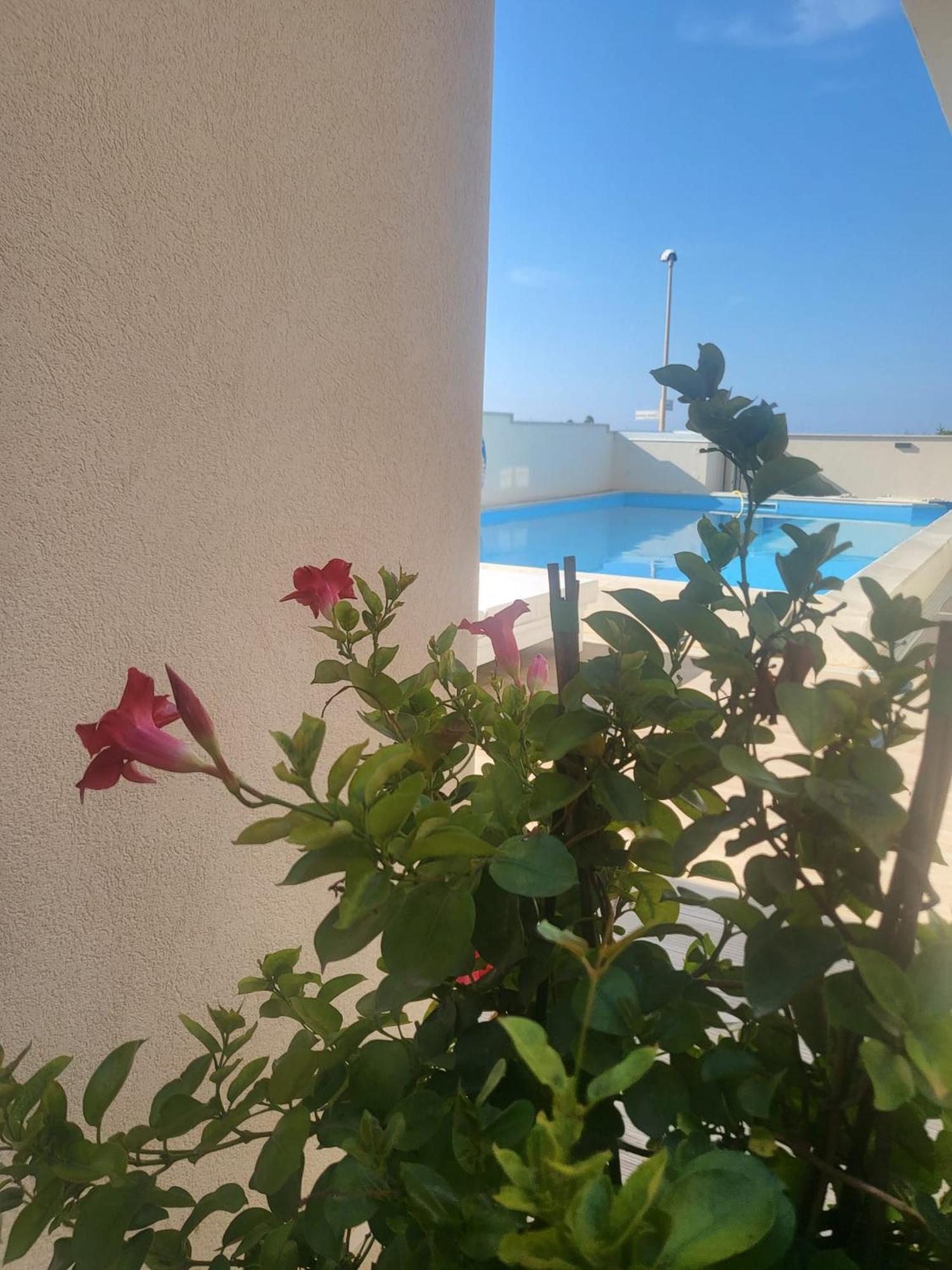 Casa P. Greco Otel Portopalo Di Capo Passero Dış mekan fotoğraf